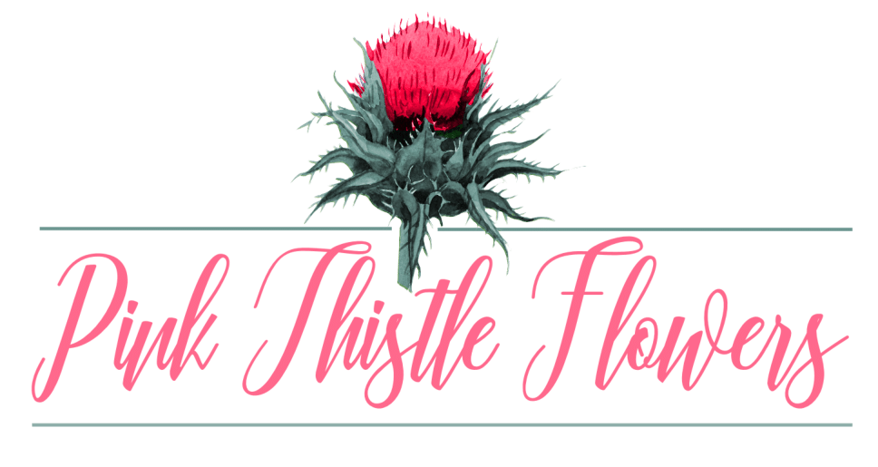 Pink Thistle Flowers